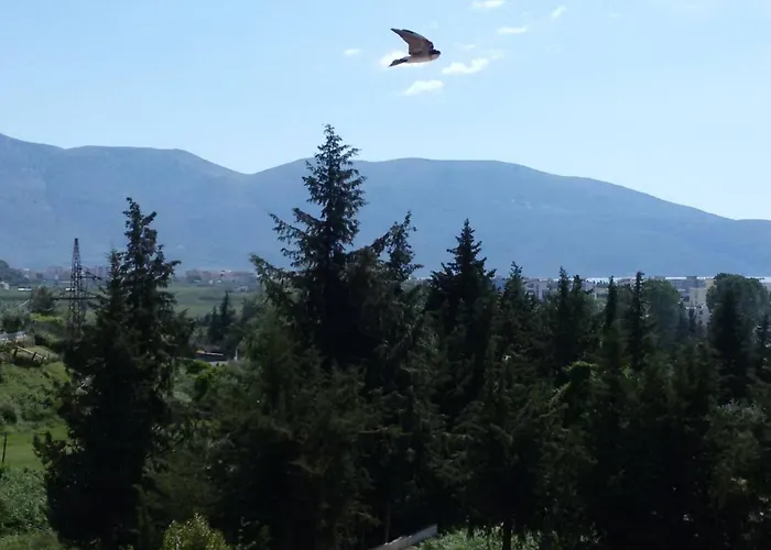 La Cigale דירה Radhimë